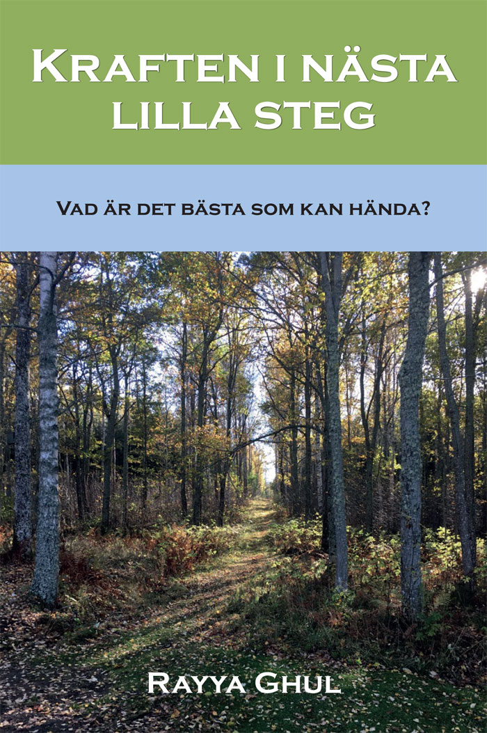 Bokomslaget till Kraften i nästa lilla steg.